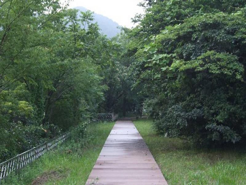 Khu vực xung quanh