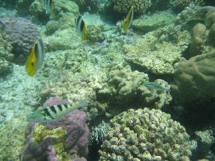 Tiện nghi giải trí