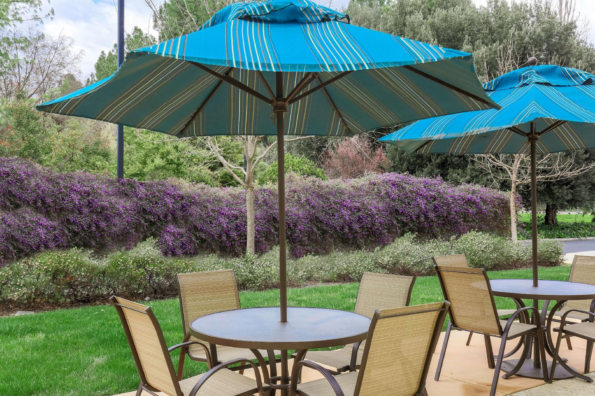 Tiện nghi giải trí