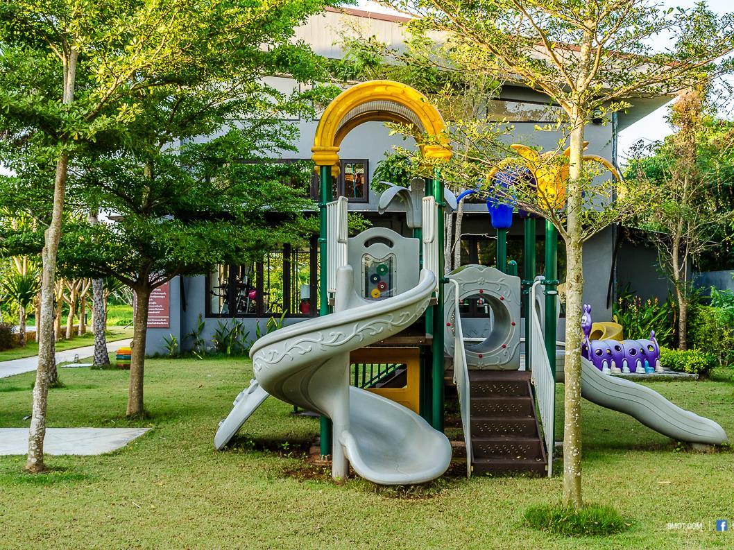 Thể thao và hoạt động