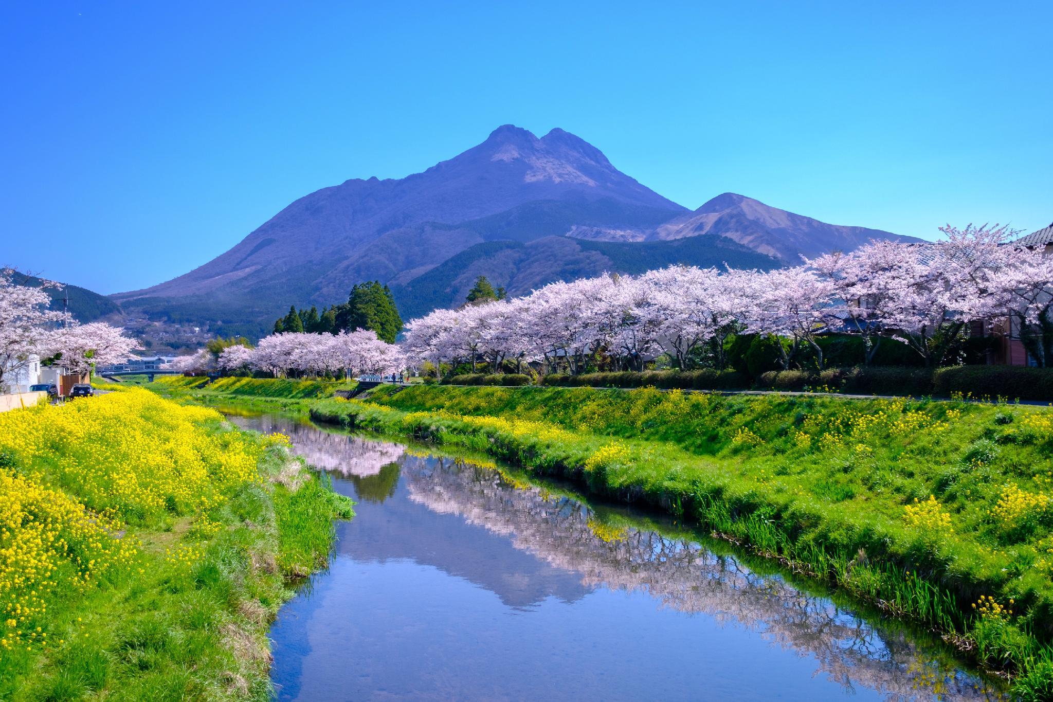 Khu vực xung quanh