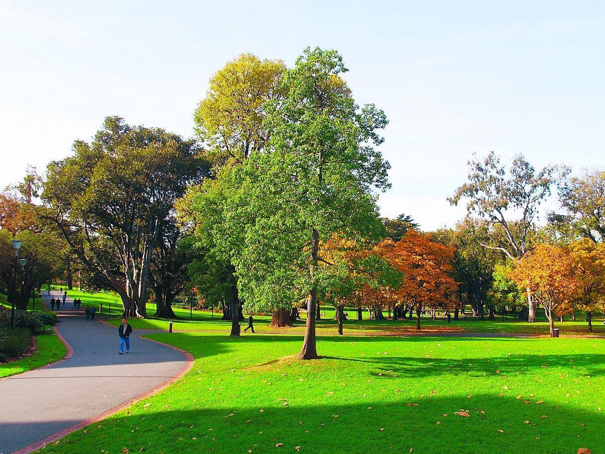 Khu vực xung quanh