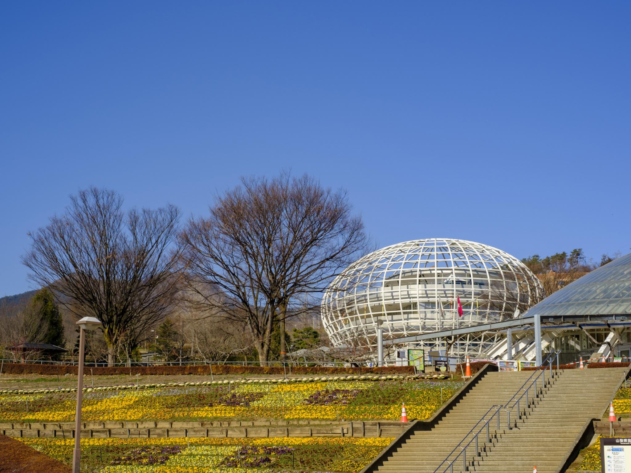 Nơi tham quan gần đây
