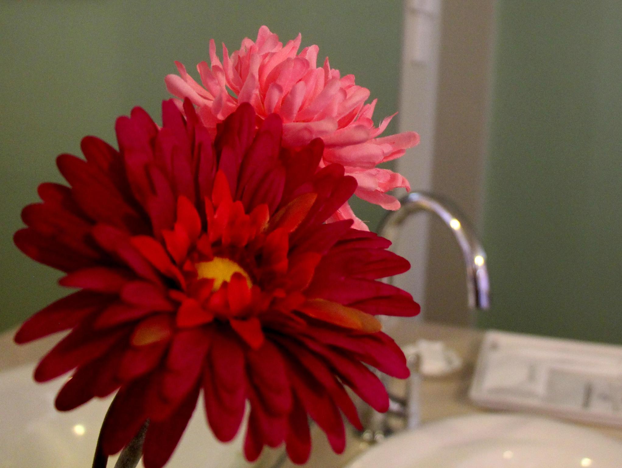 Nội thất khách sạn