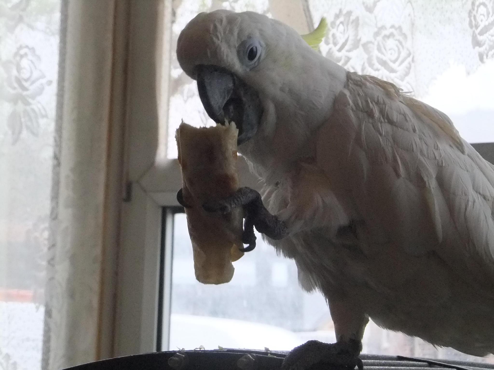 Khu vực xung quanh