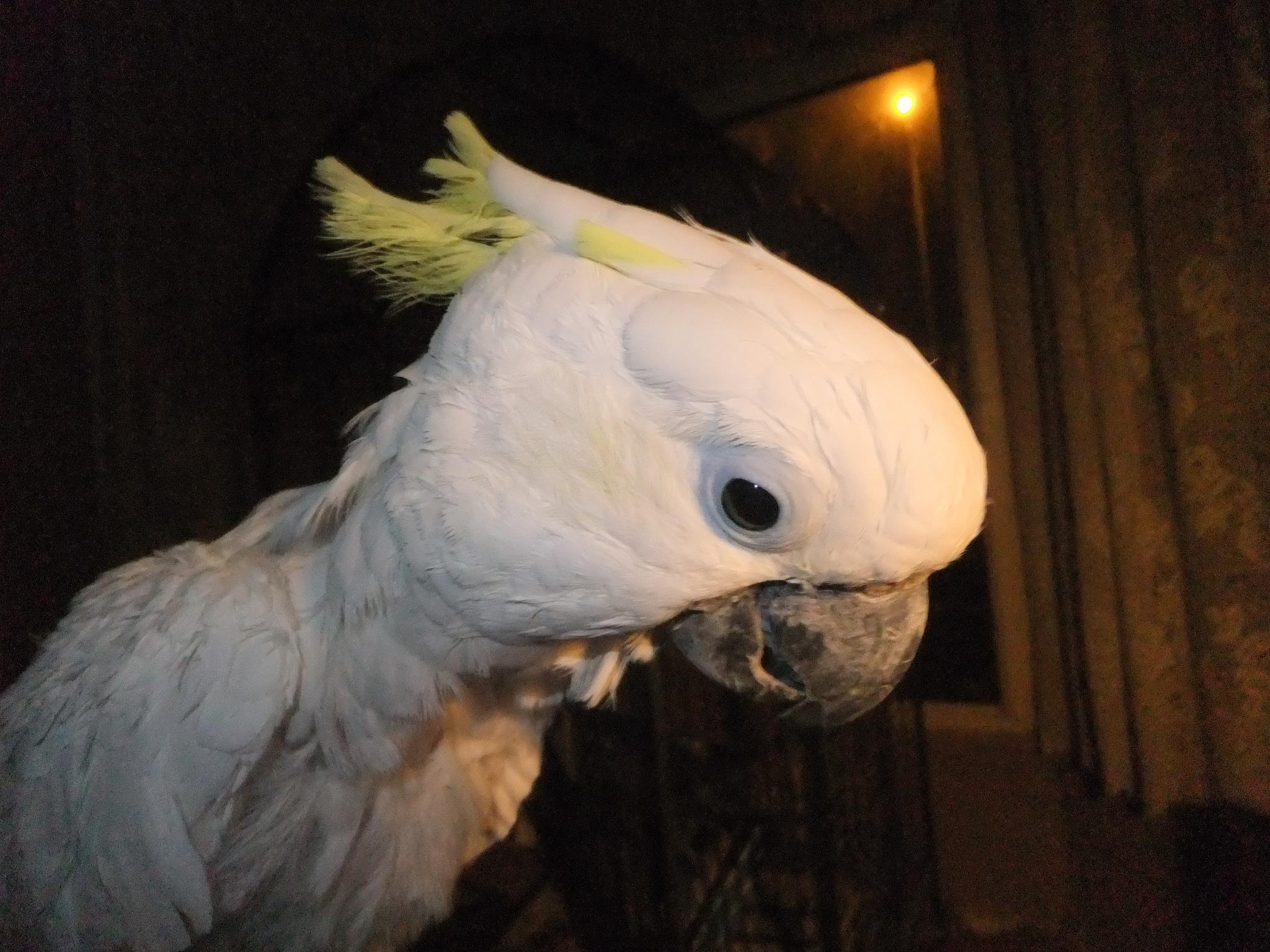 Khu vực xung quanh