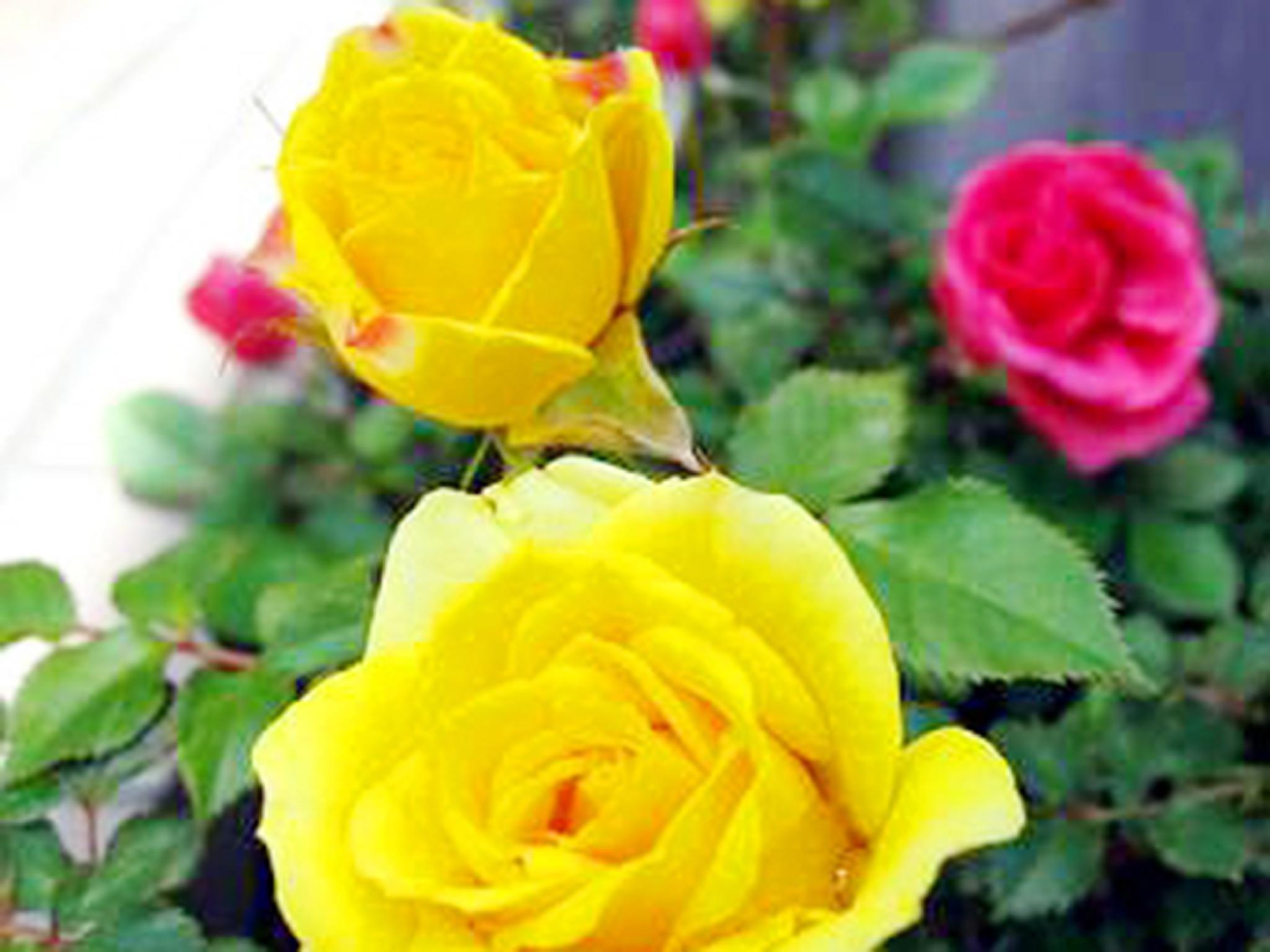 Nơi tham quan gần đây