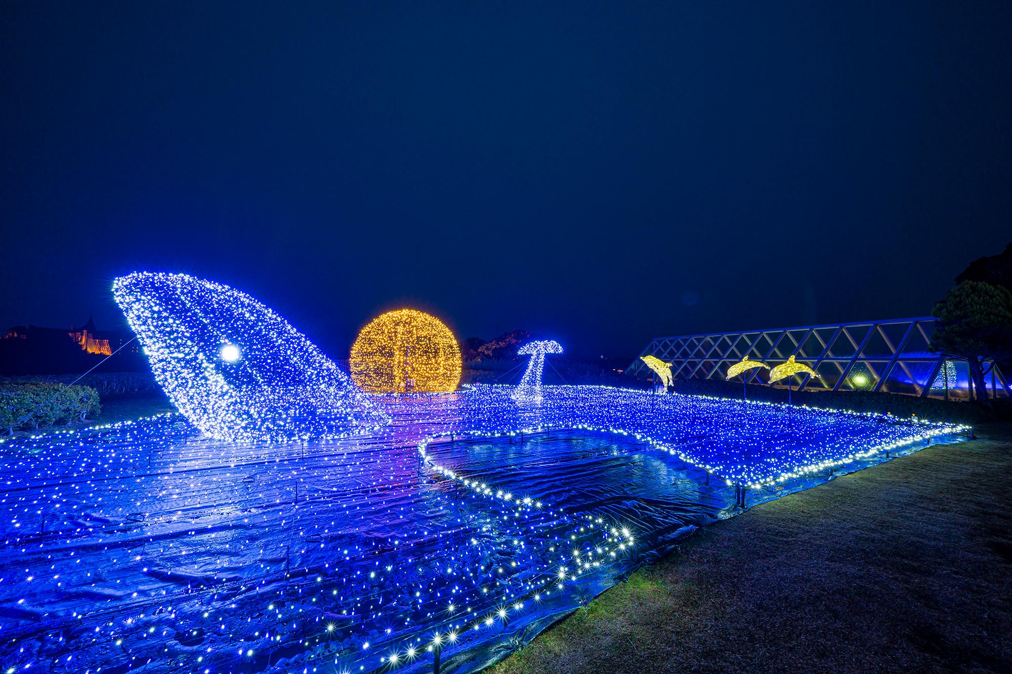 Vườn