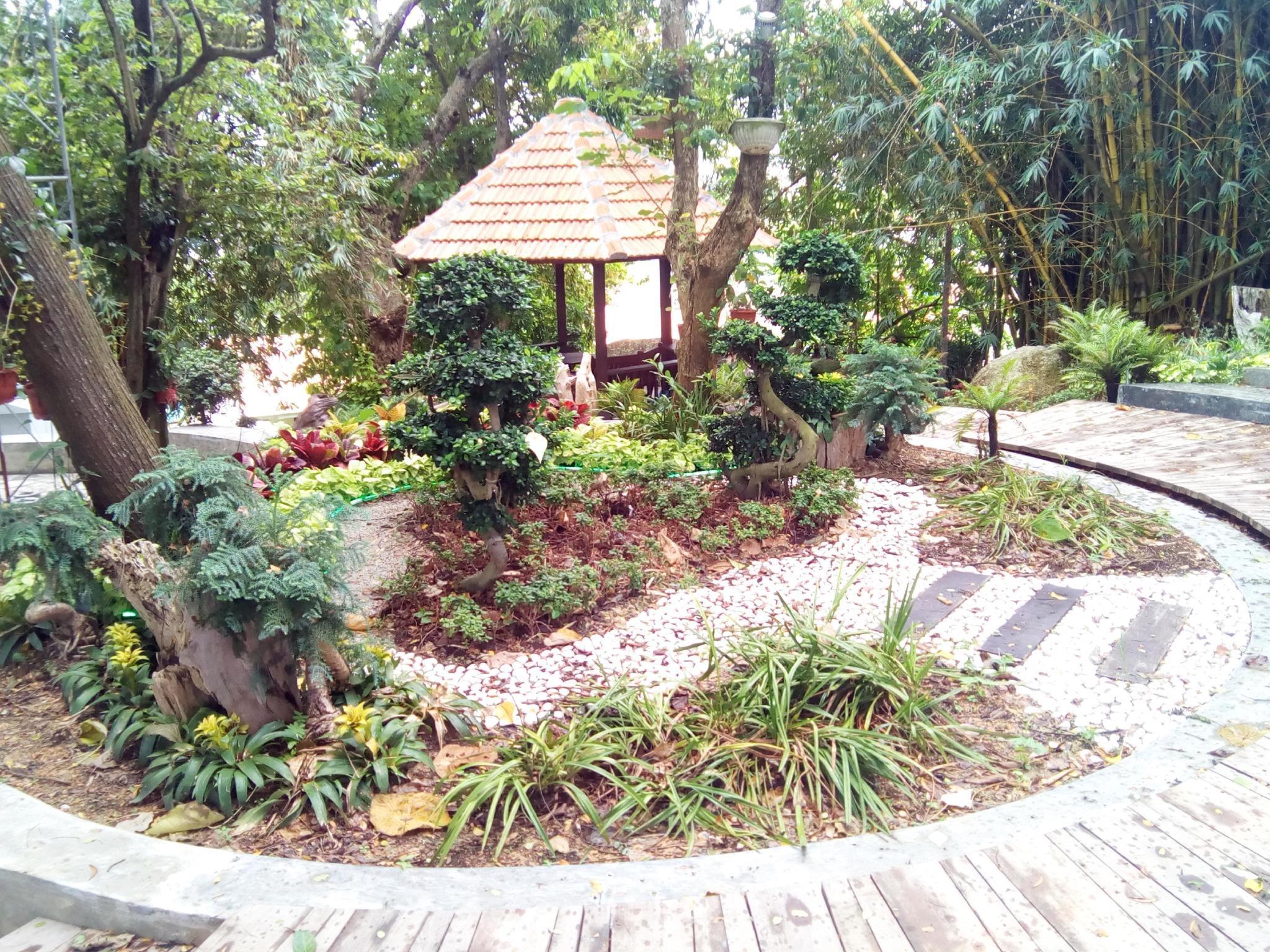 Nơi tham quan gần đây