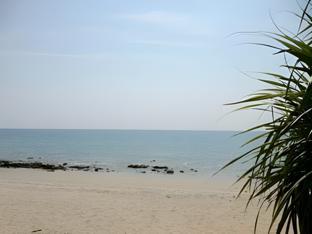 Khu vực xung quanh