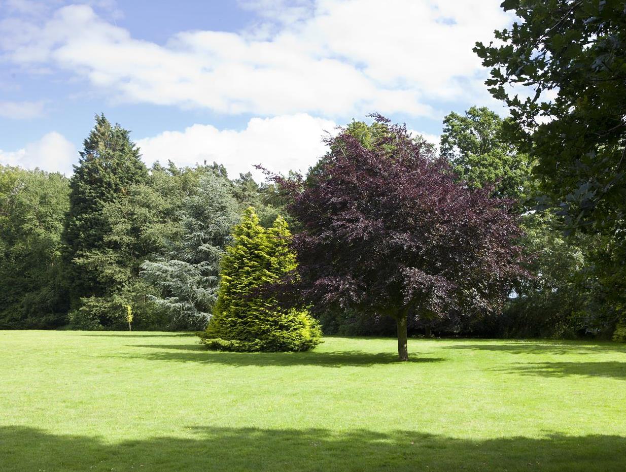 Khu vực xung quanh