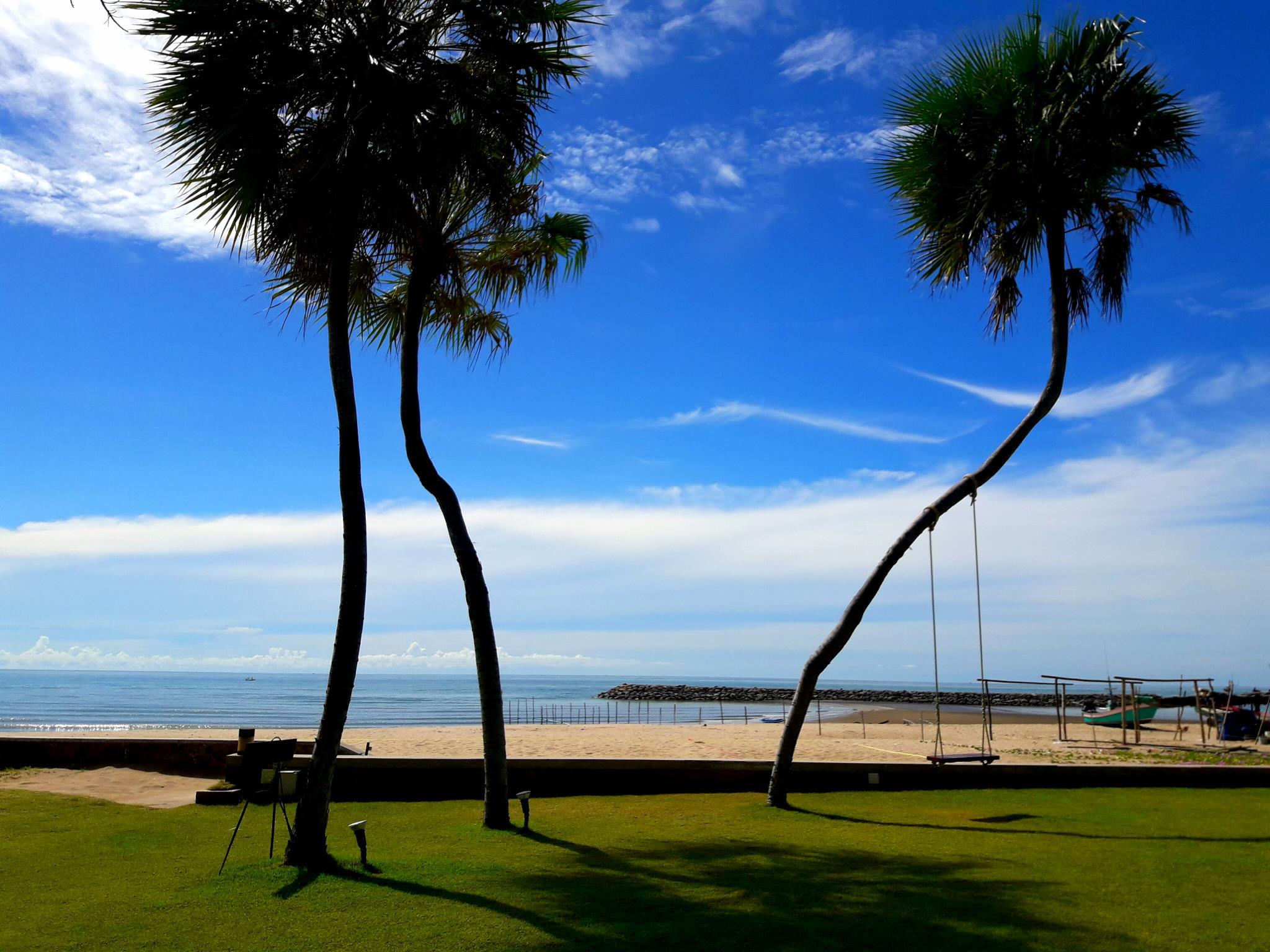 Khu vực xung quanh