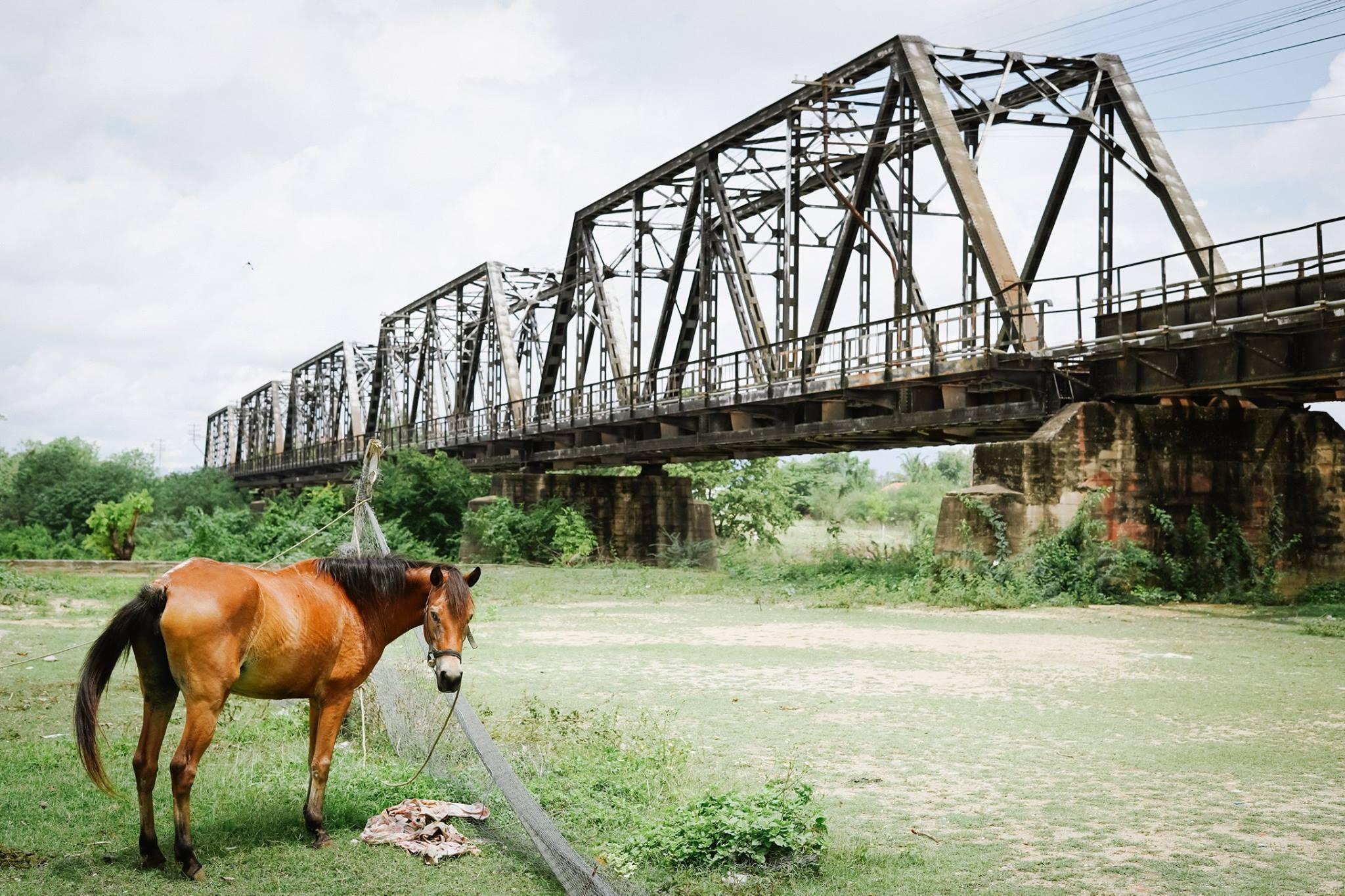 Khu vực xung quanh