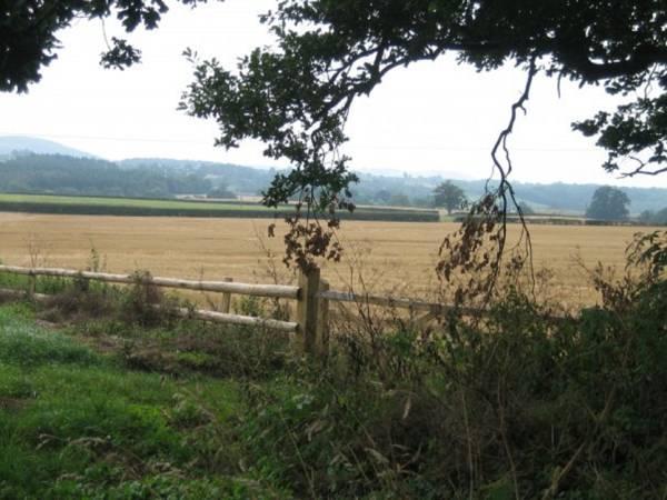 Khu vực xung quanh