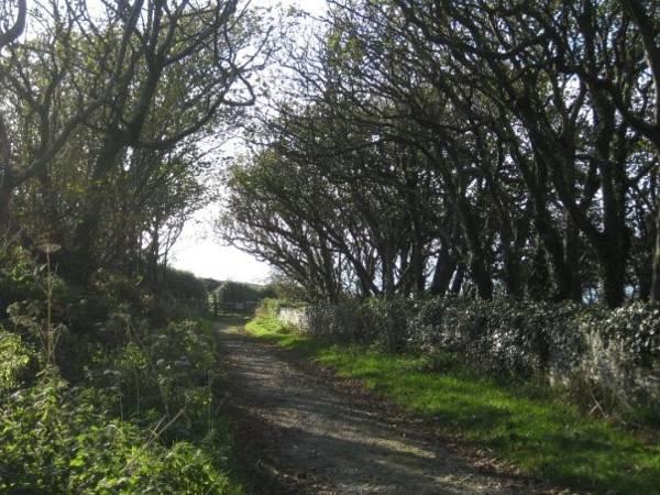 Khu vực xung quanh