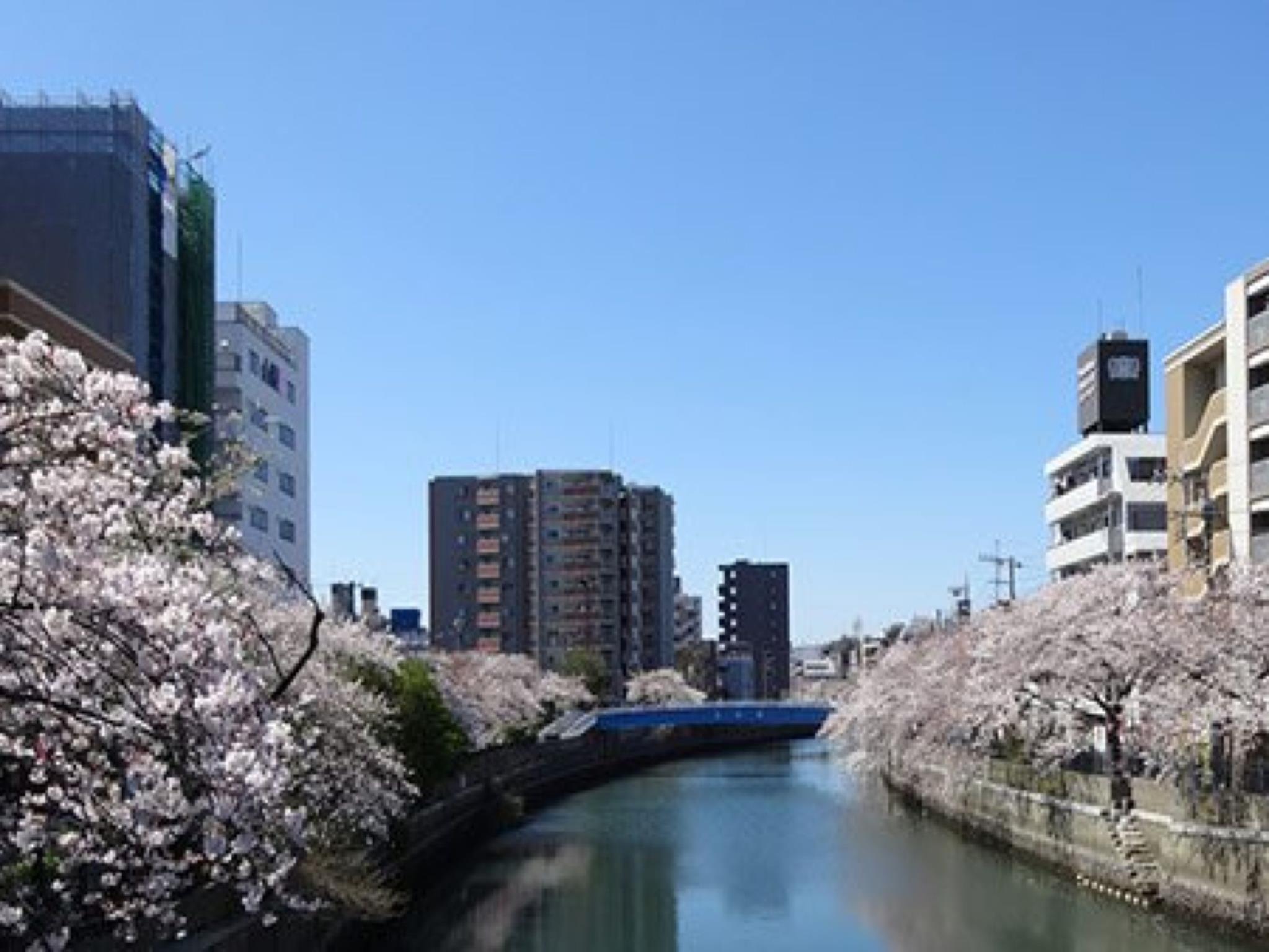 Khu vực xung quanh