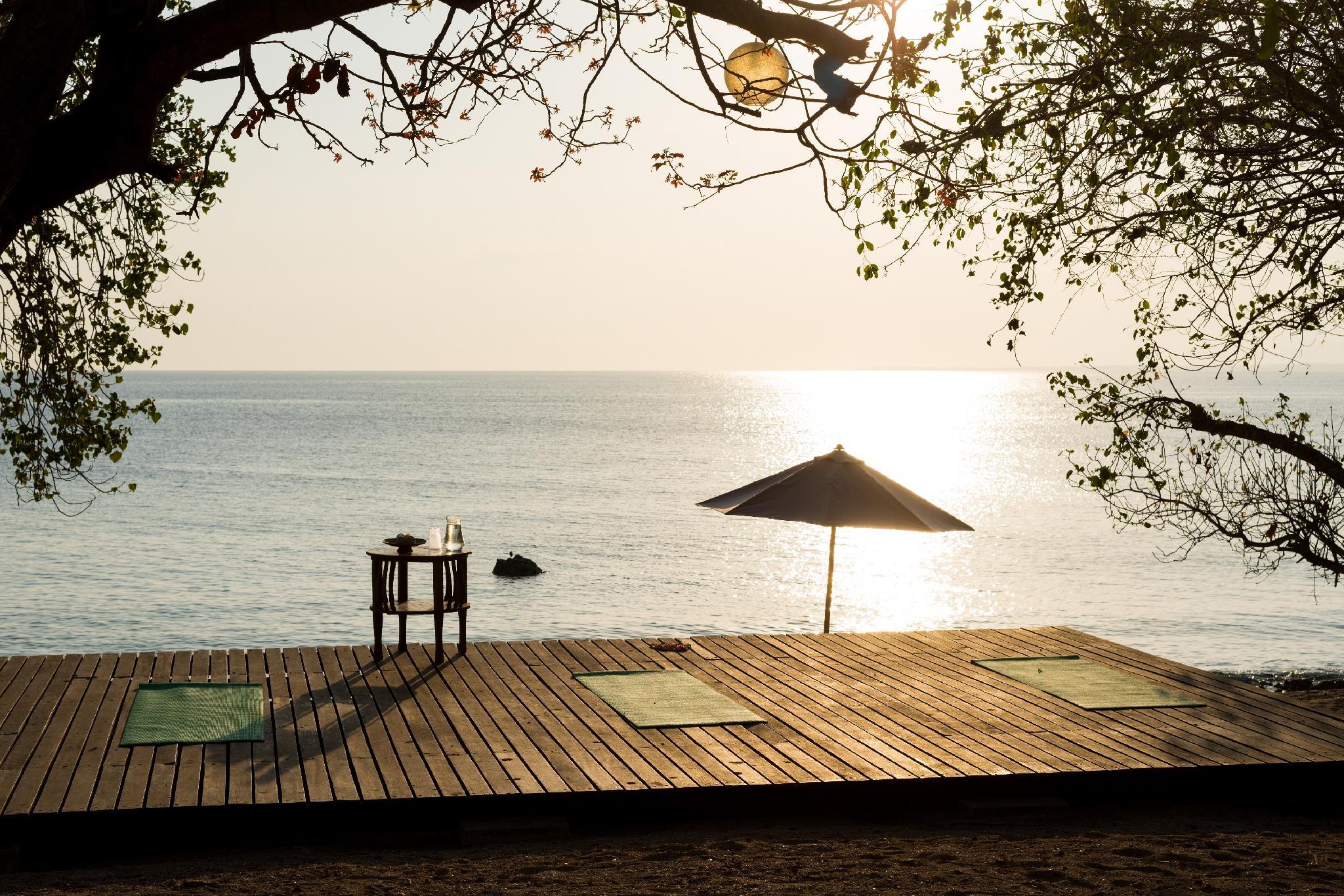 Thể thao và hoạt động