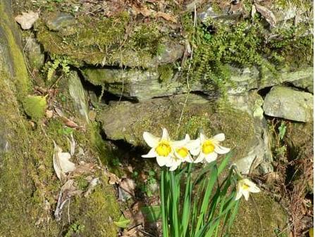 Khu vực xung quanh