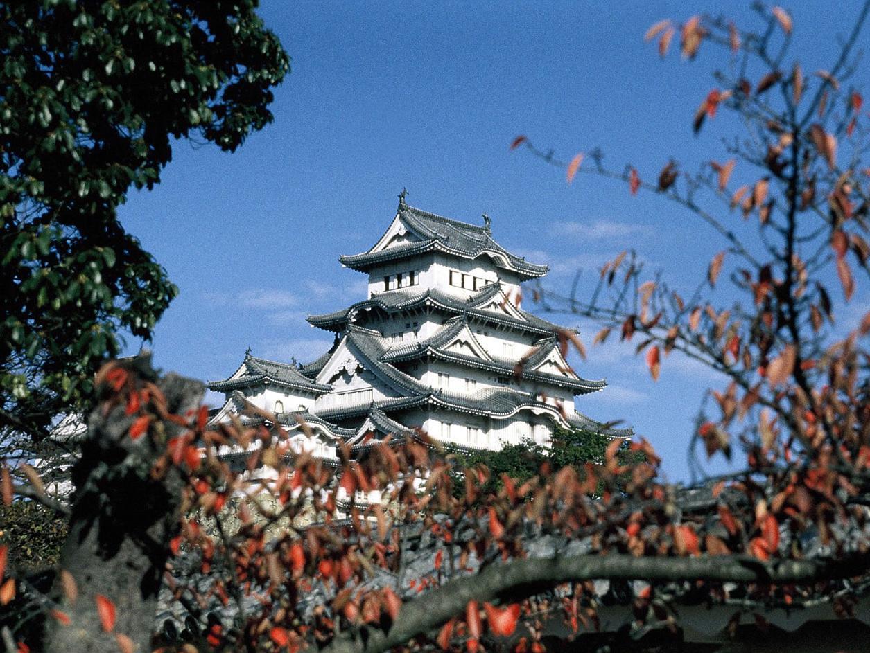 Nơi tham quan gần đây