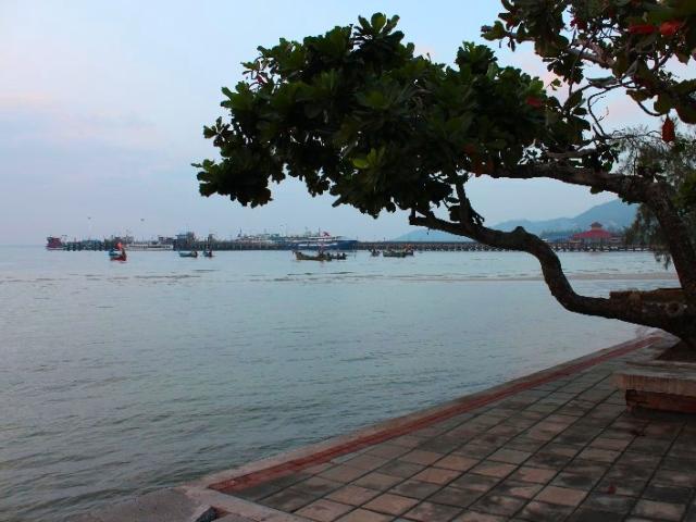 Bãi biển