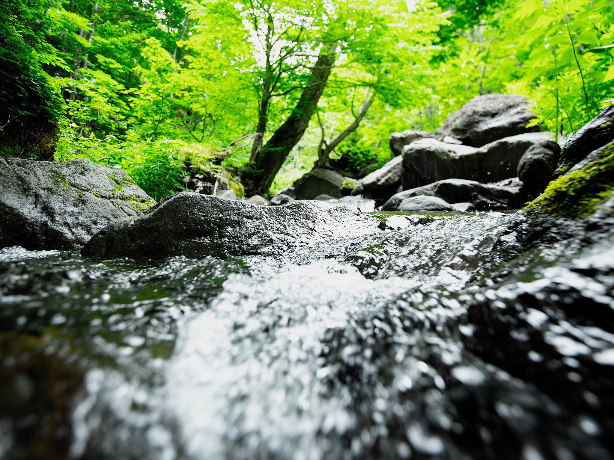 Khu vực xung quanh