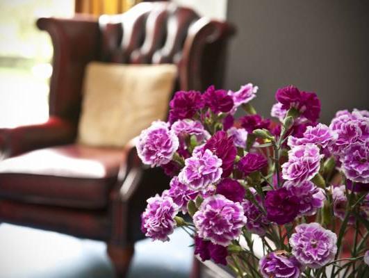 Nội thất khách sạn