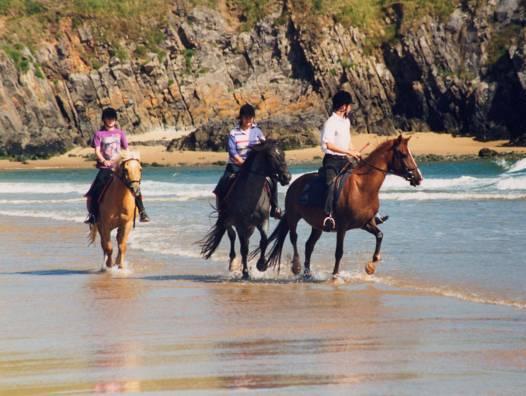 Tiện nghi giải trí