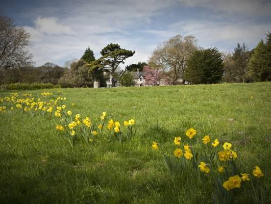 Khu vực xung quanh