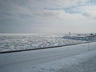 Khu vực xung quanh