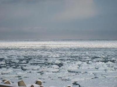 Khu vực xung quanh