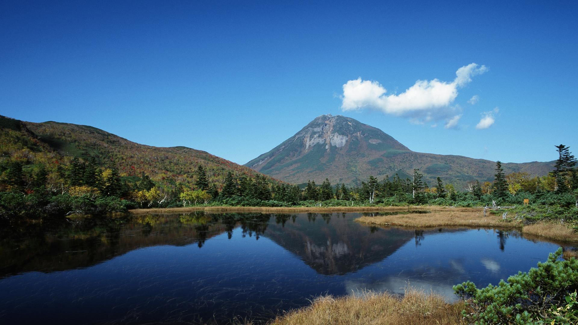 Nơi tham quan gần đây