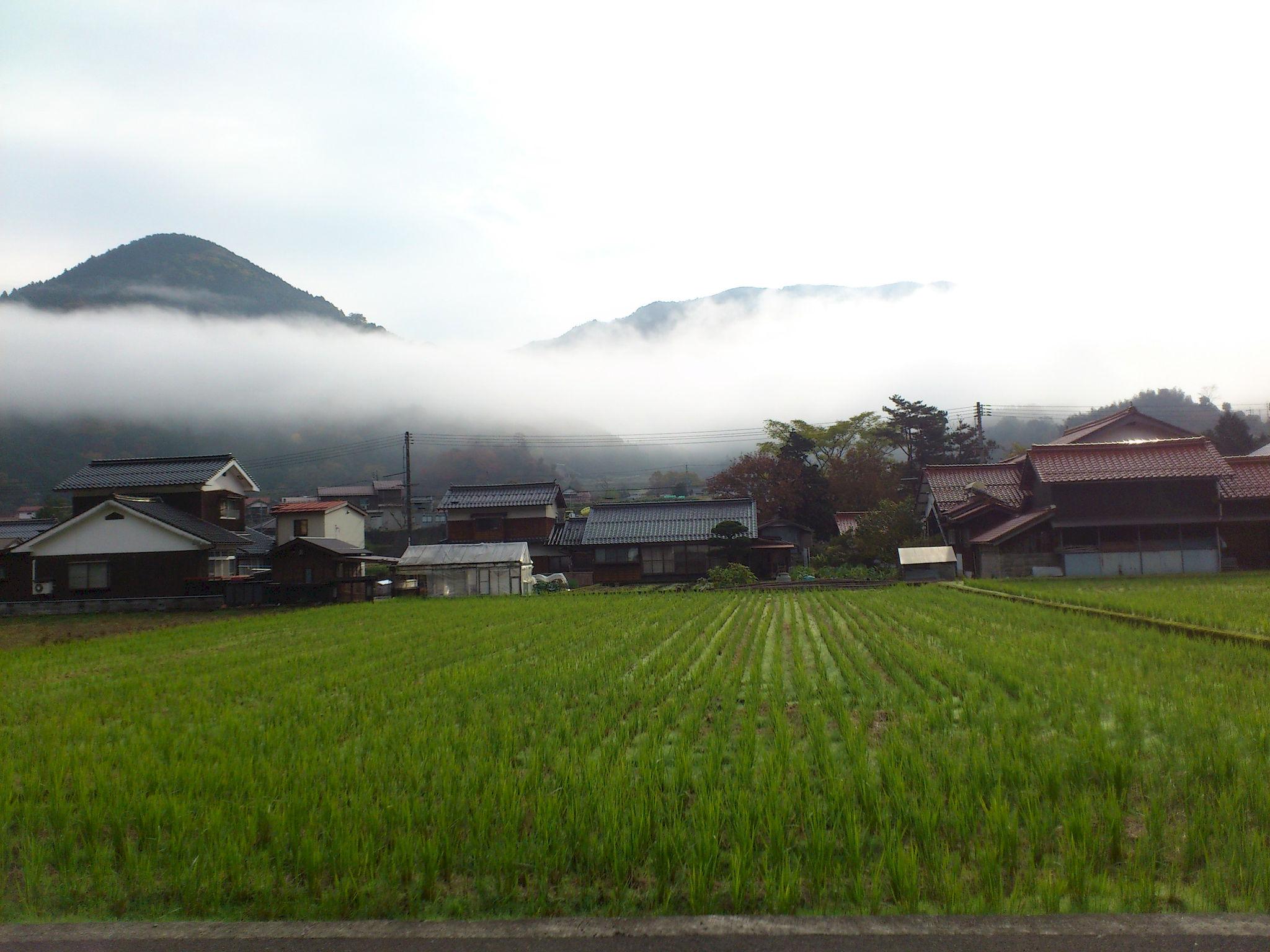 Nơi tham quan gần đây