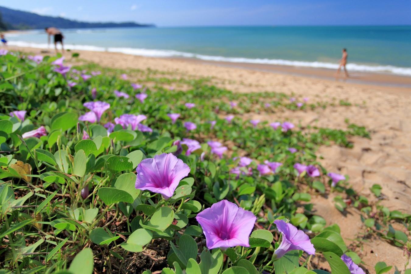 Khu vực xung quanh