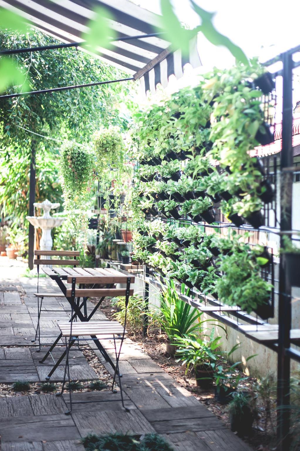 Khu vực xung quanh