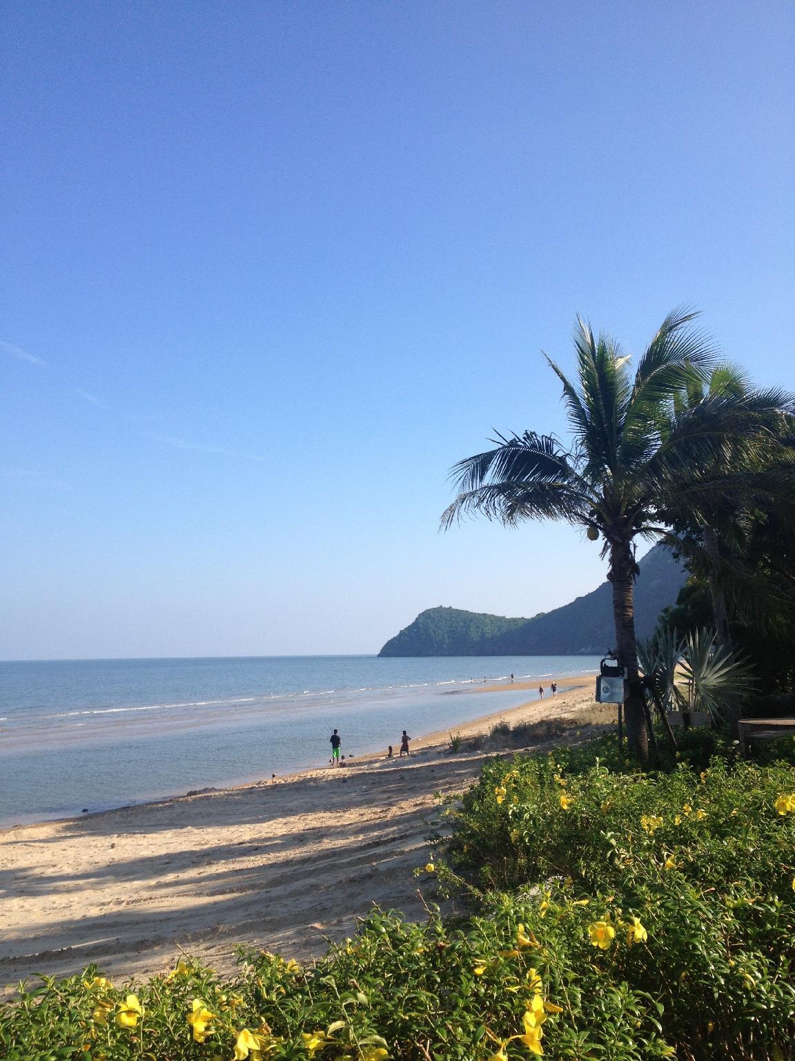 Khu vực xung quanh