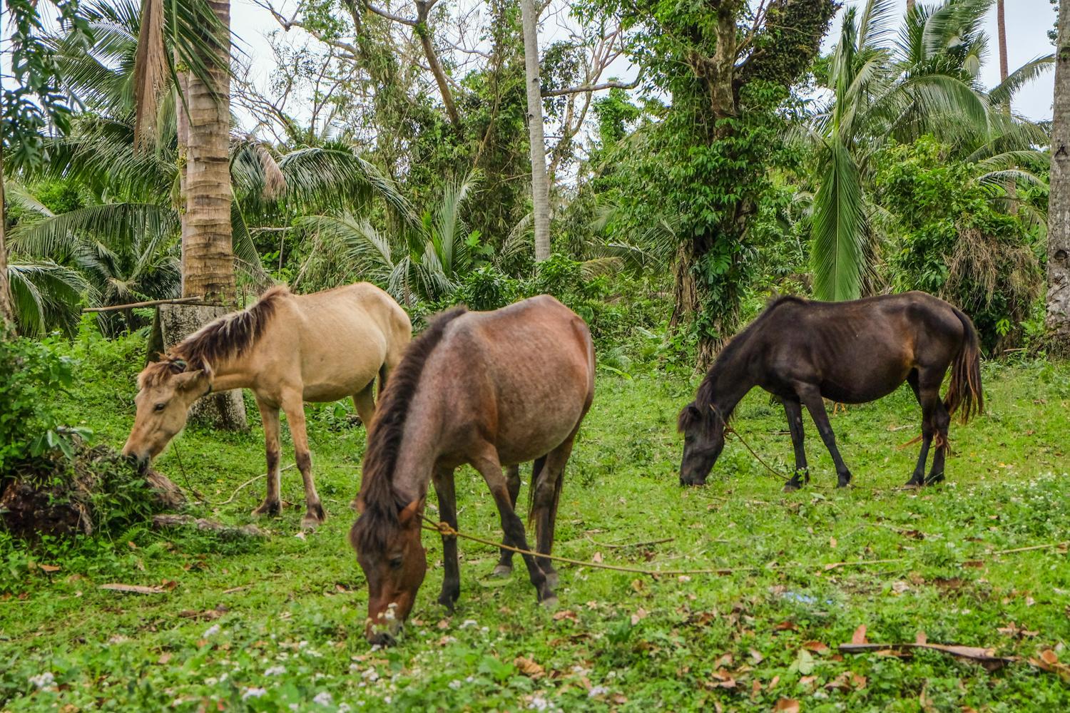 Khu vực xung quanh