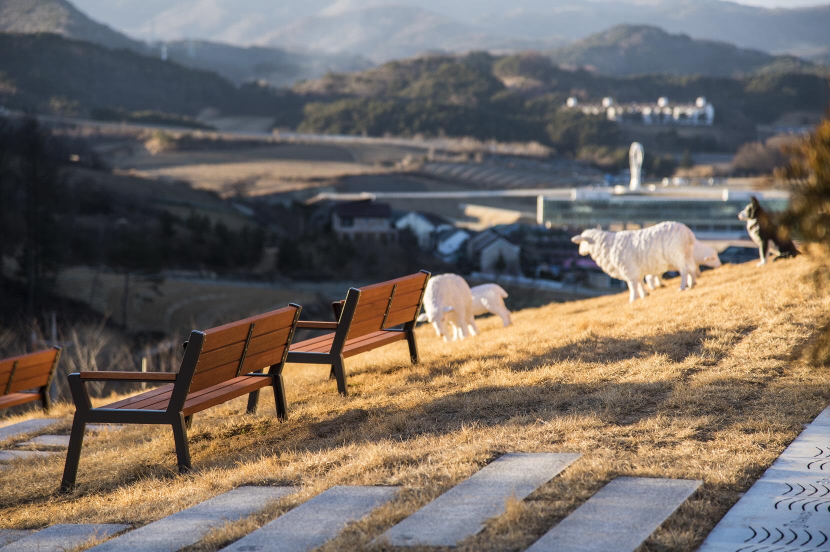 Khu vực xung quanh