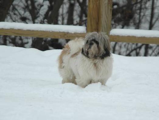 Khu vực xung quanh