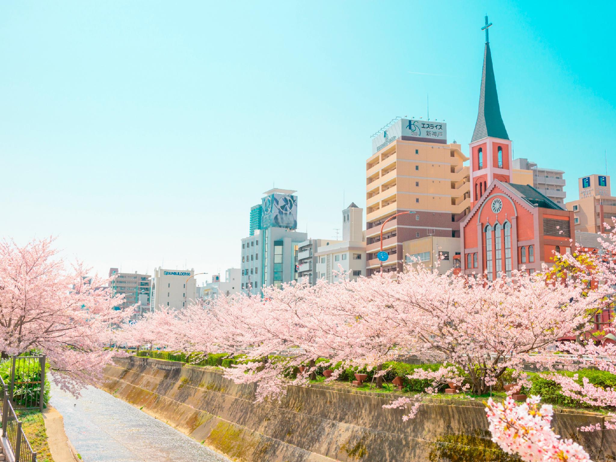 Khu vực xung quanh