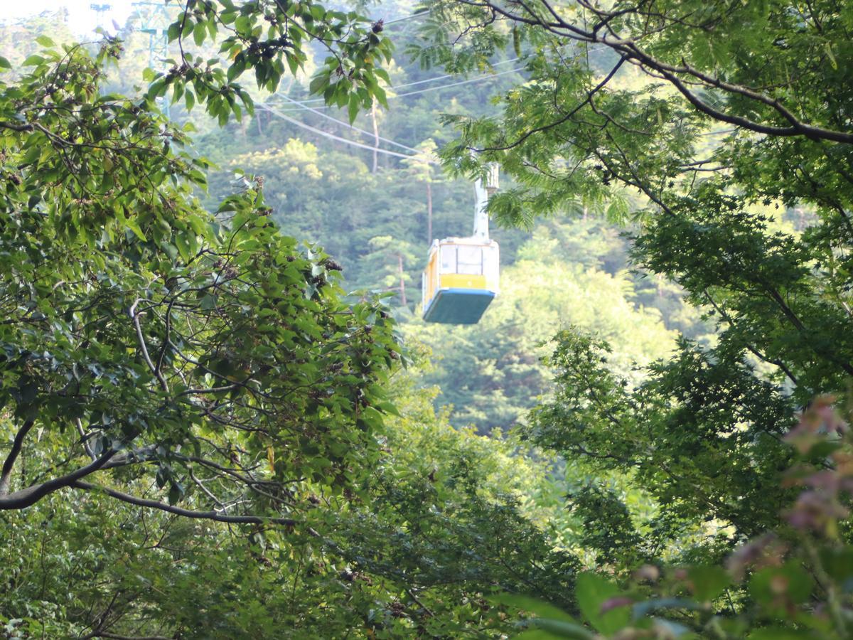 Nơi tham quan gần đây