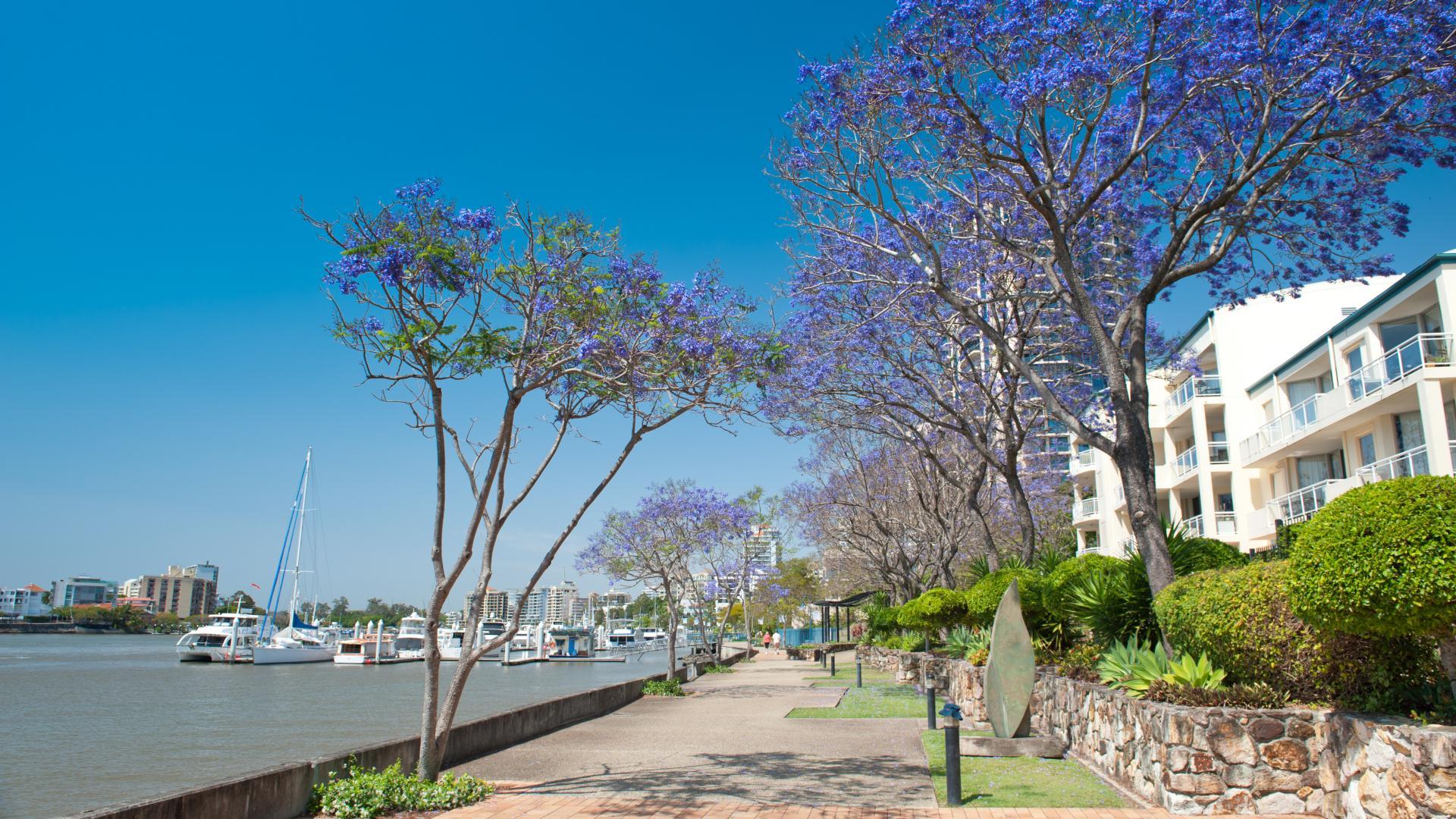 Khu vực xung quanh