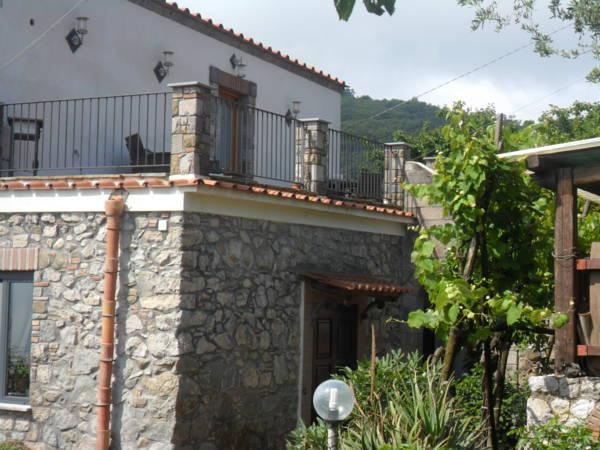 Khu vực xung quanh