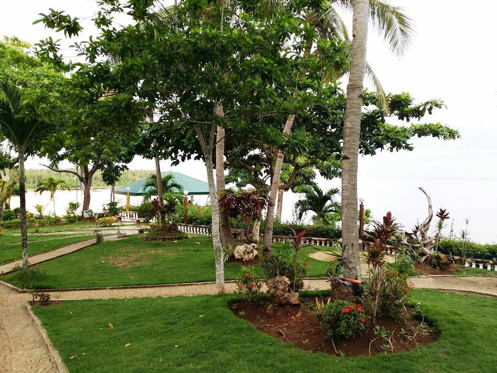 Vườn