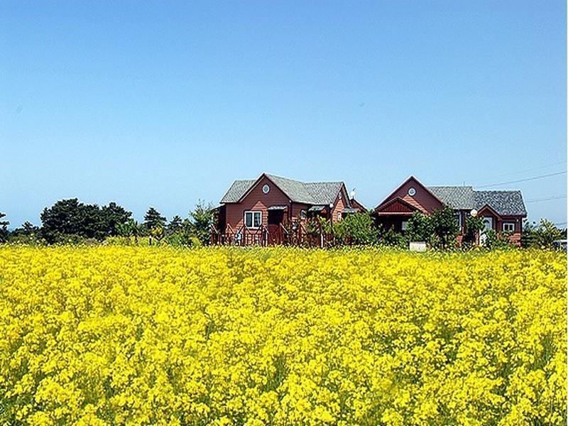 Khu vực xung quanh