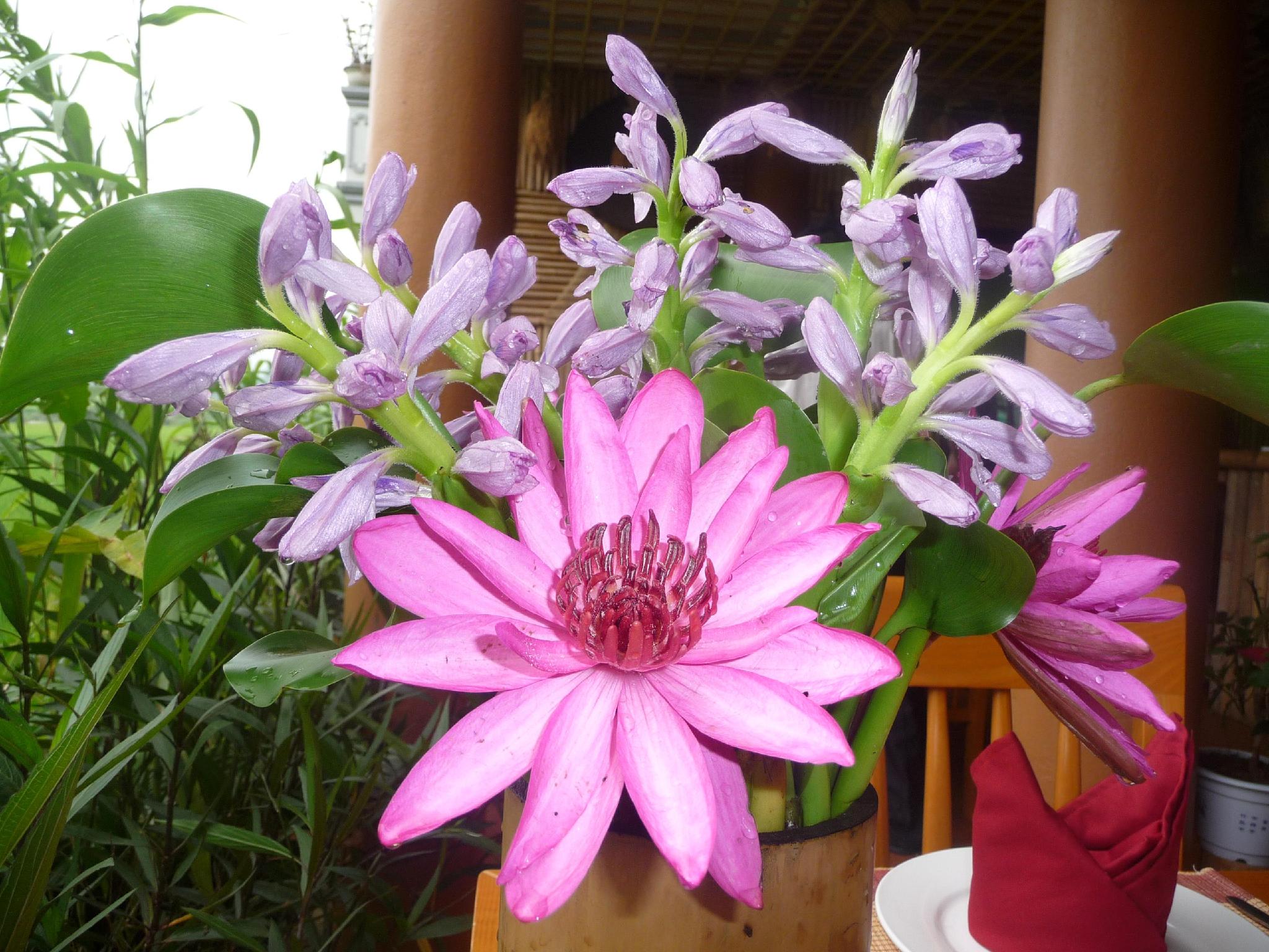 Nội thất khách sạn