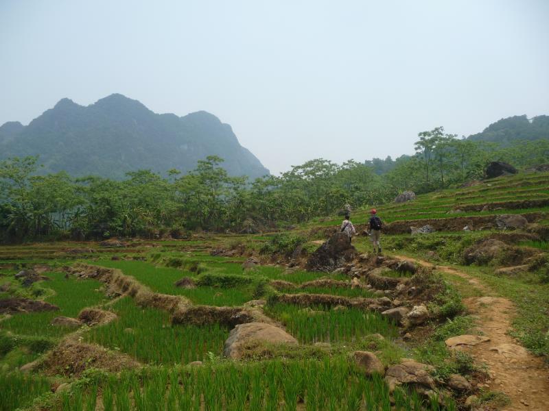 Nơi tham quan gần đây