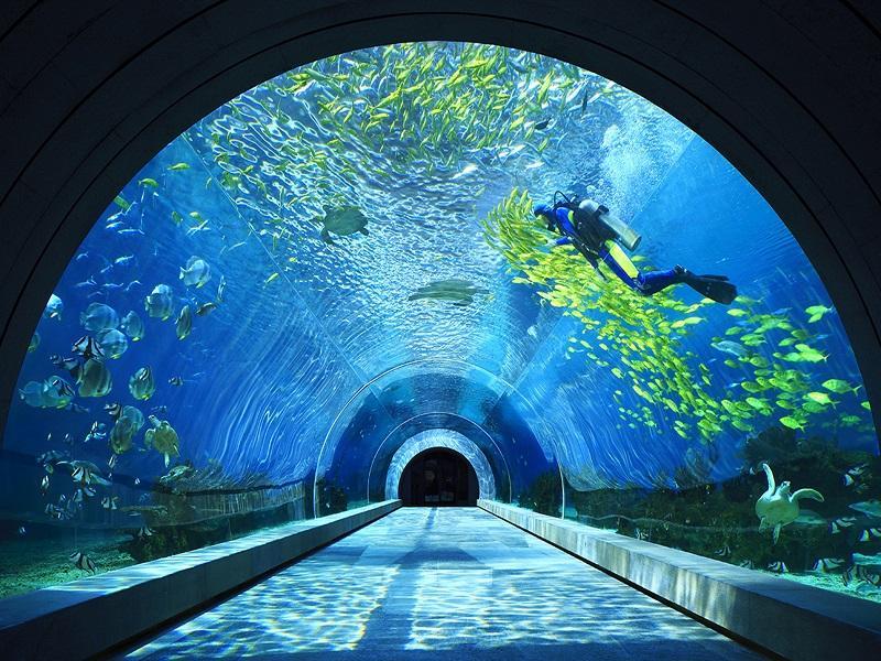 Nội thất khách sạn