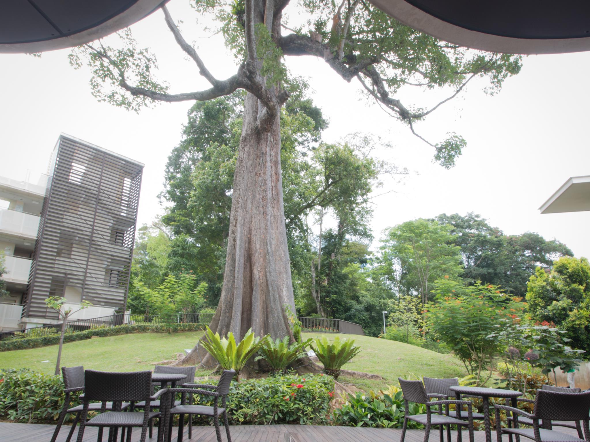 Khu vực xung quanh