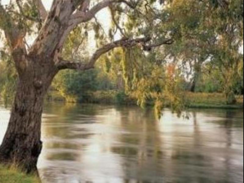 Khu vực xung quanh