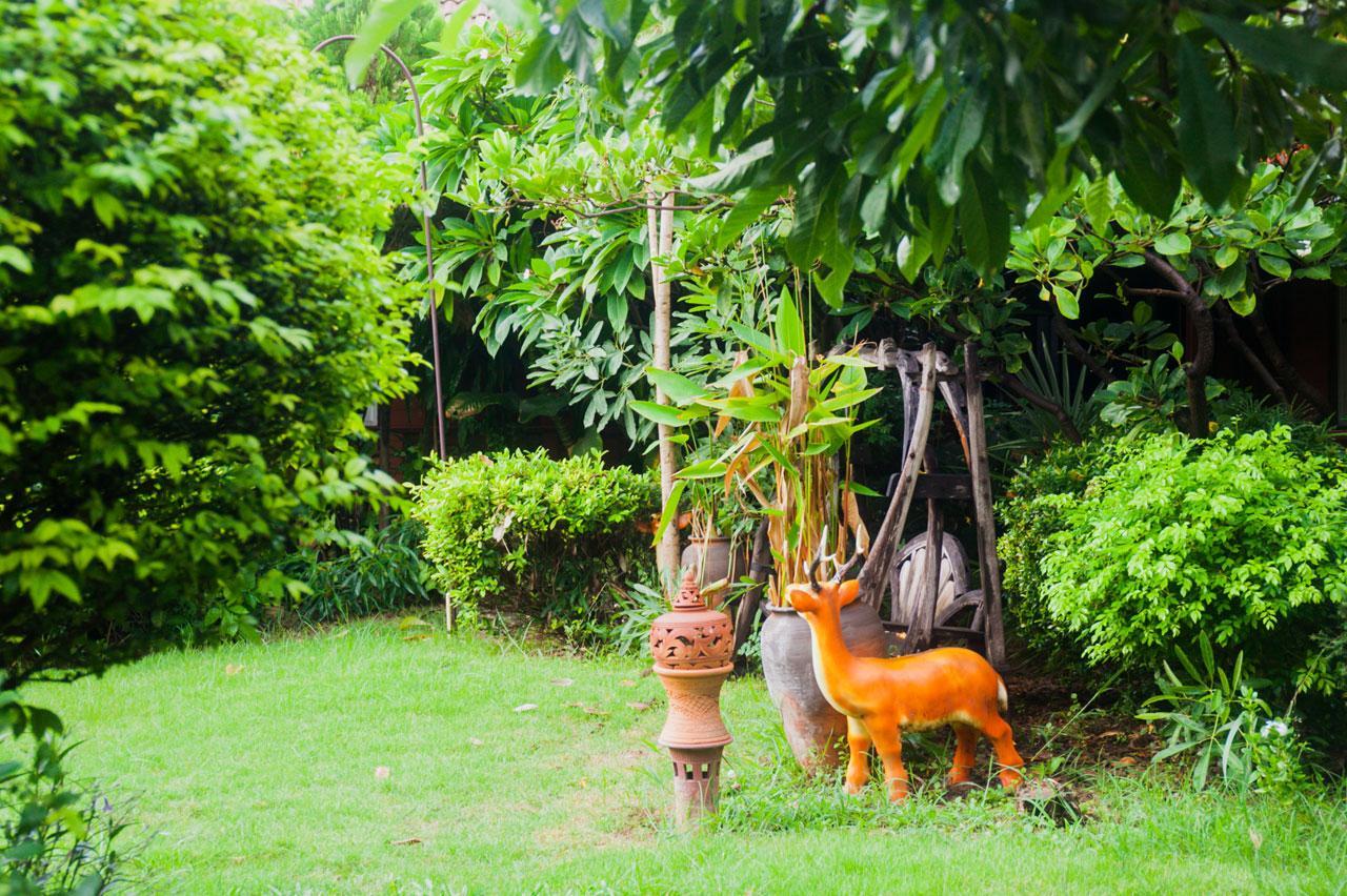 Khu vực xung quanh
